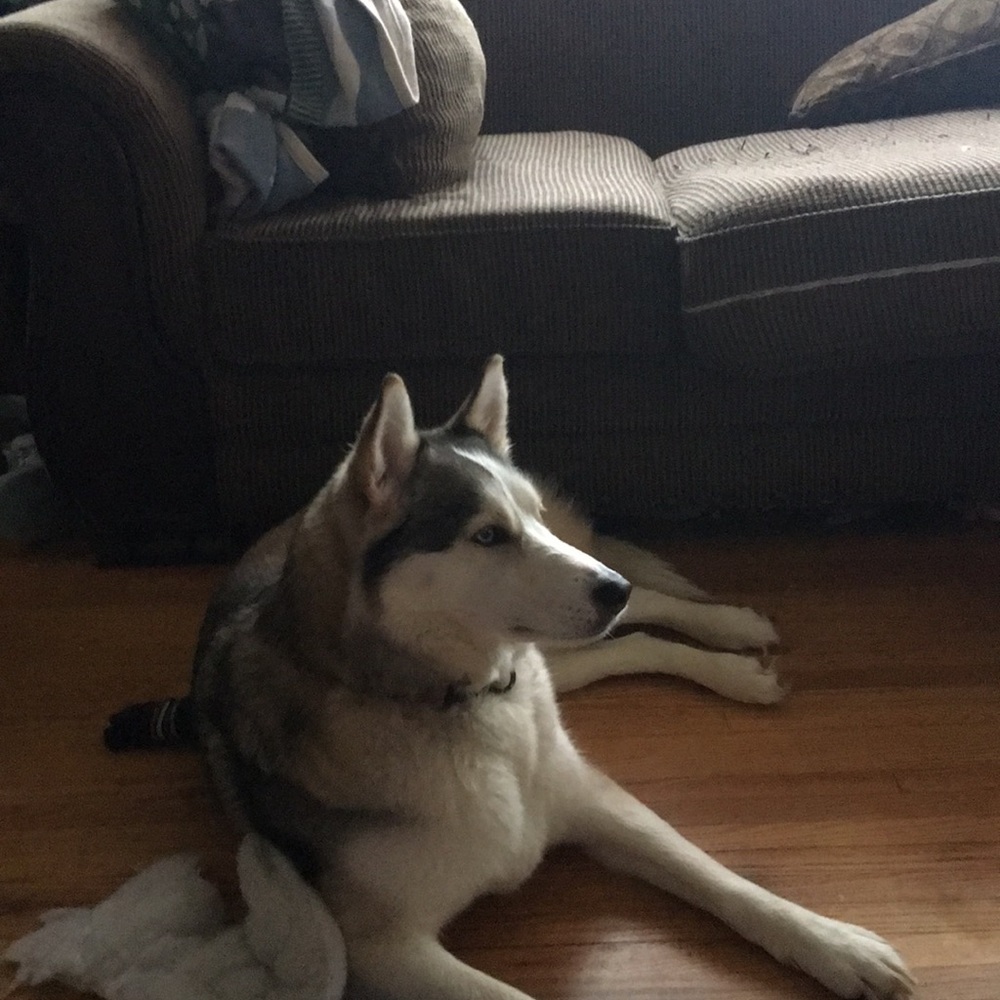 Meet your Posher, Debbie